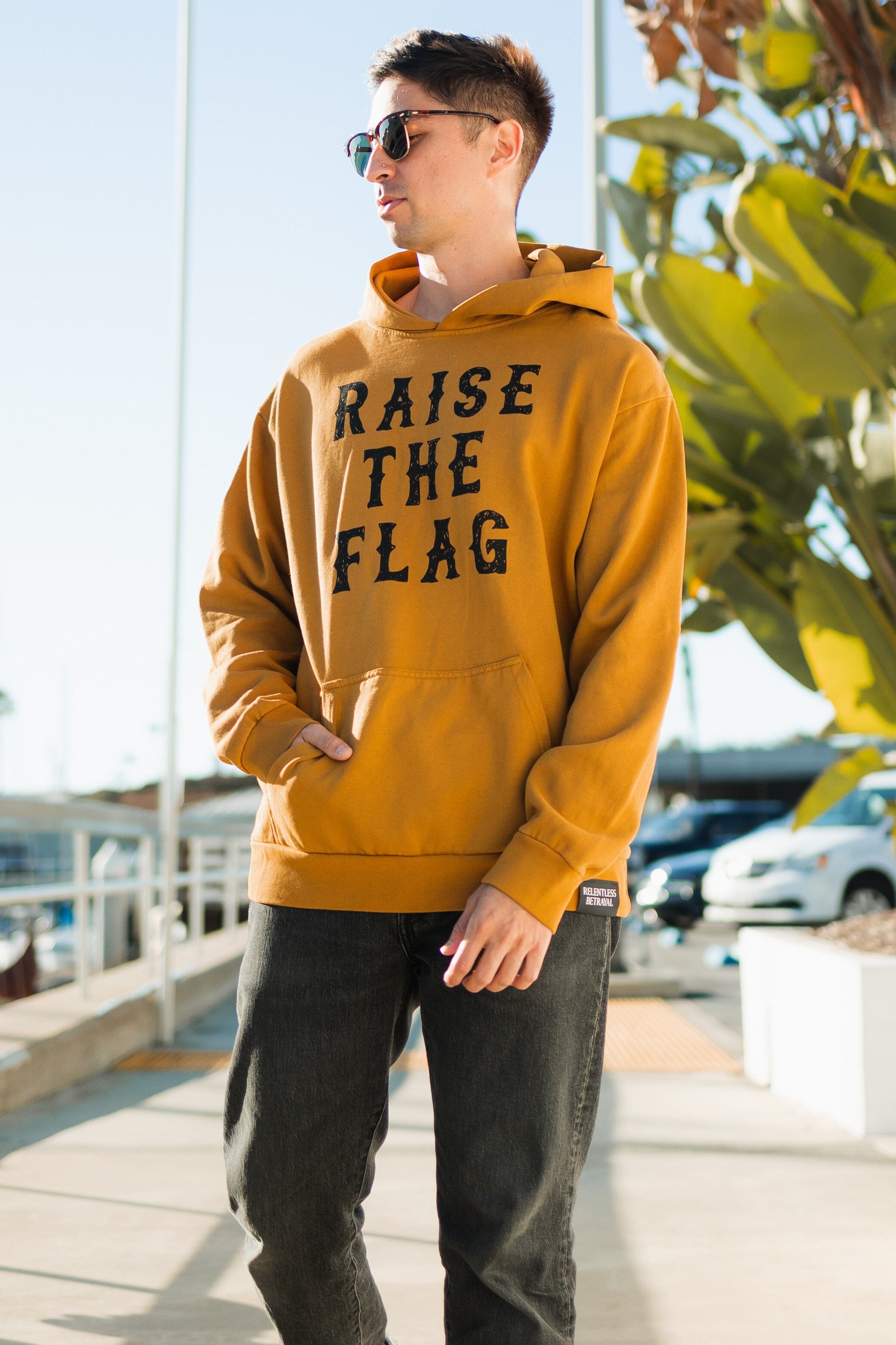 Raise the Flag Premium Toast Hoodie