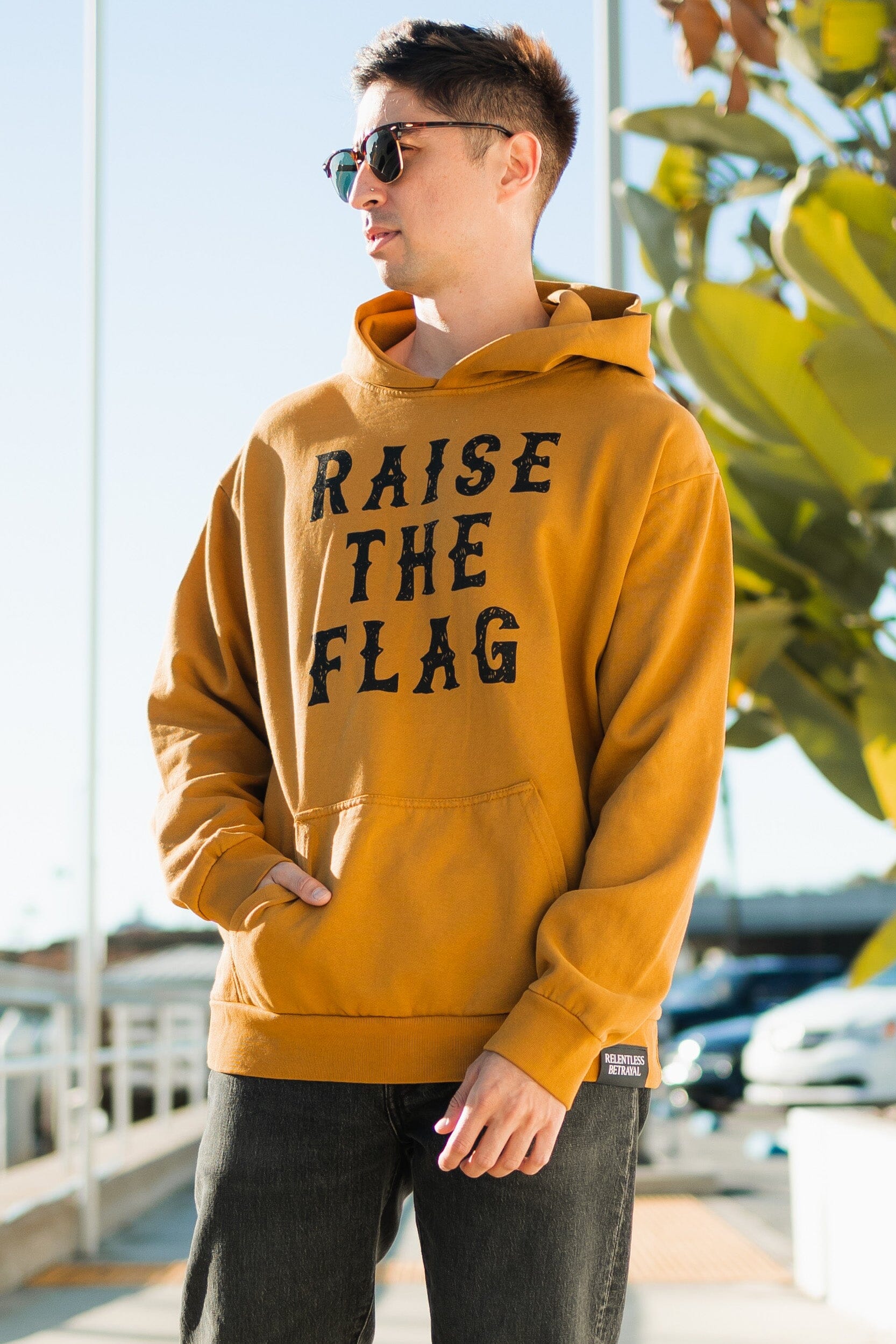 Raise the Flag Premium Toast Hoodie