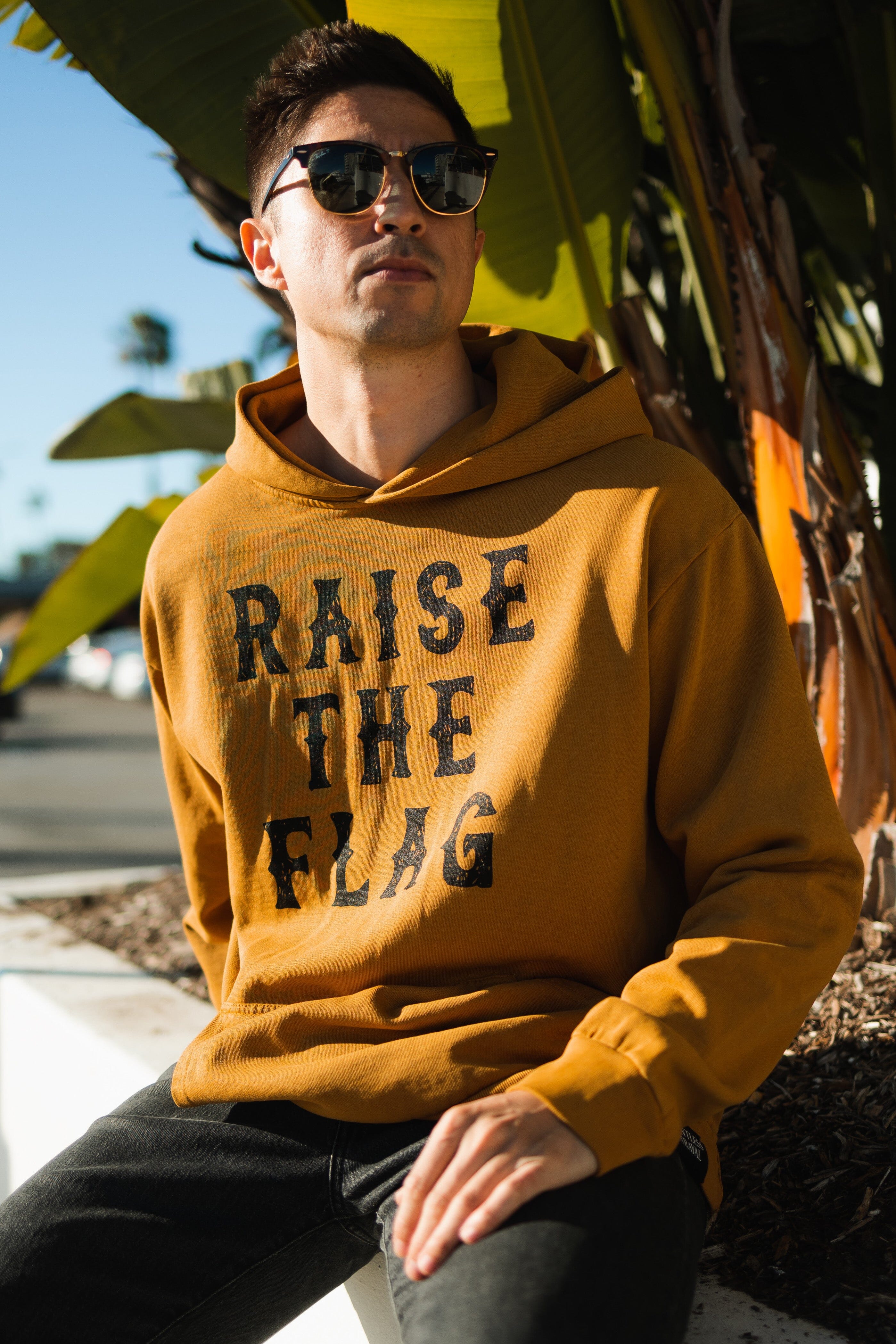 Raise the Flag Premium Toast Hoodie